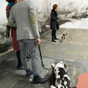 Werkschau_Vernissage_©Minjolle_3727.jpg