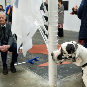 Werkschau_Vernissage_©Minjolle_3703.jpg