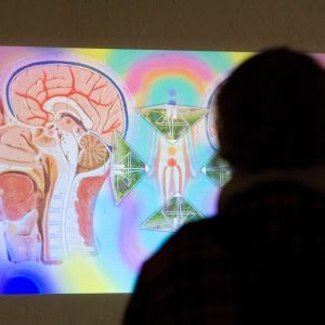 Werkschau_Vernissage_©Minjolle_3768.jpg