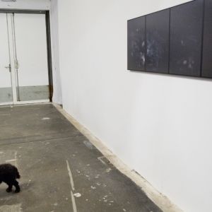 Werkschau_Vernissage_©Minjolle_3714.jpg