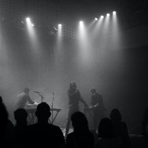 Eutropic - 8X7A5669.jpg